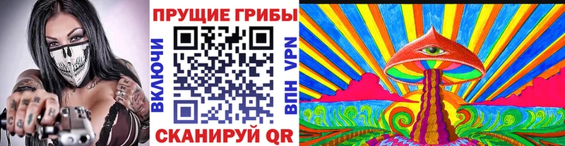 MEGA маркетплейс  Балей  Псилоцибиновые грибы MAGIC MUSHROOMS  как найти  